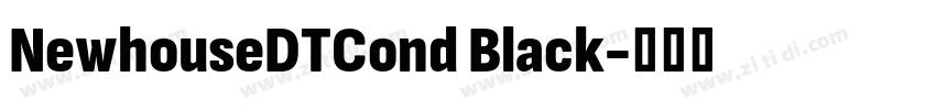 NewhouseDTCond Black字体转换